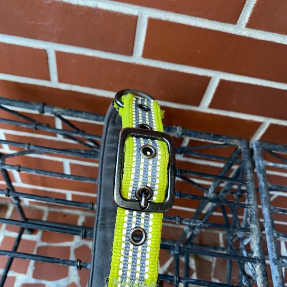 MOD Reflective Nylon Large Dog collar! - Picture 2 of 2